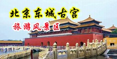 墨西哥极品人妖巨屌手淫射精HD中国北京-东城古宫旅游风景区